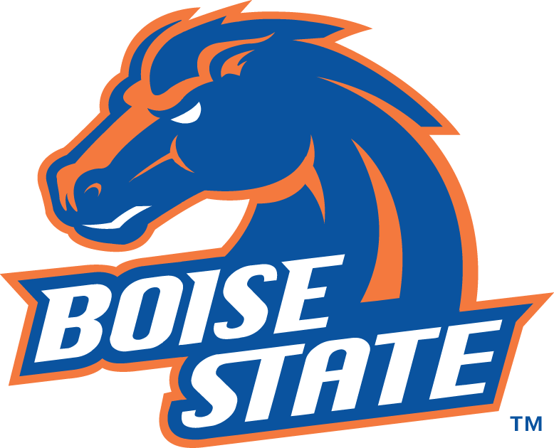Boise State Broncos 2002-2012 Alternate Logo t shirts iron on transfers v3